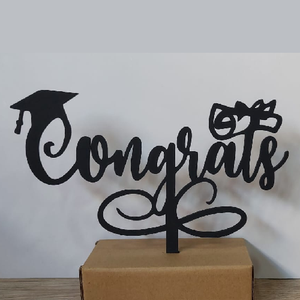 Graduation Cake Topper