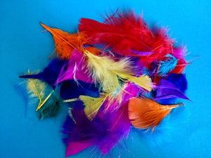 Coloured feathers