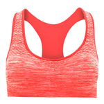 Load image into Gallery viewer, Roly Sports Bra Sakhir
