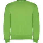 Load image into Gallery viewer, Roly Clasica Sweatshirt
