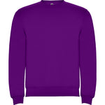 Load image into Gallery viewer, Roly Clasica Sweatshirt
