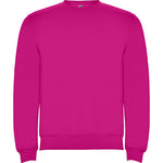 Load image into Gallery viewer, Roly Clasica Sweatshirt
